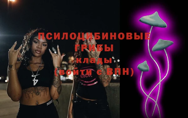 крисы Беломорск