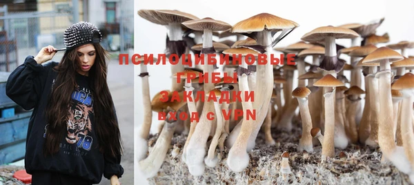 крисы Беломорск