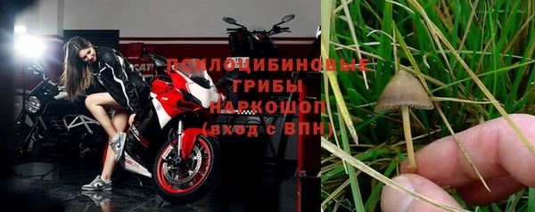 крисы Беломорск